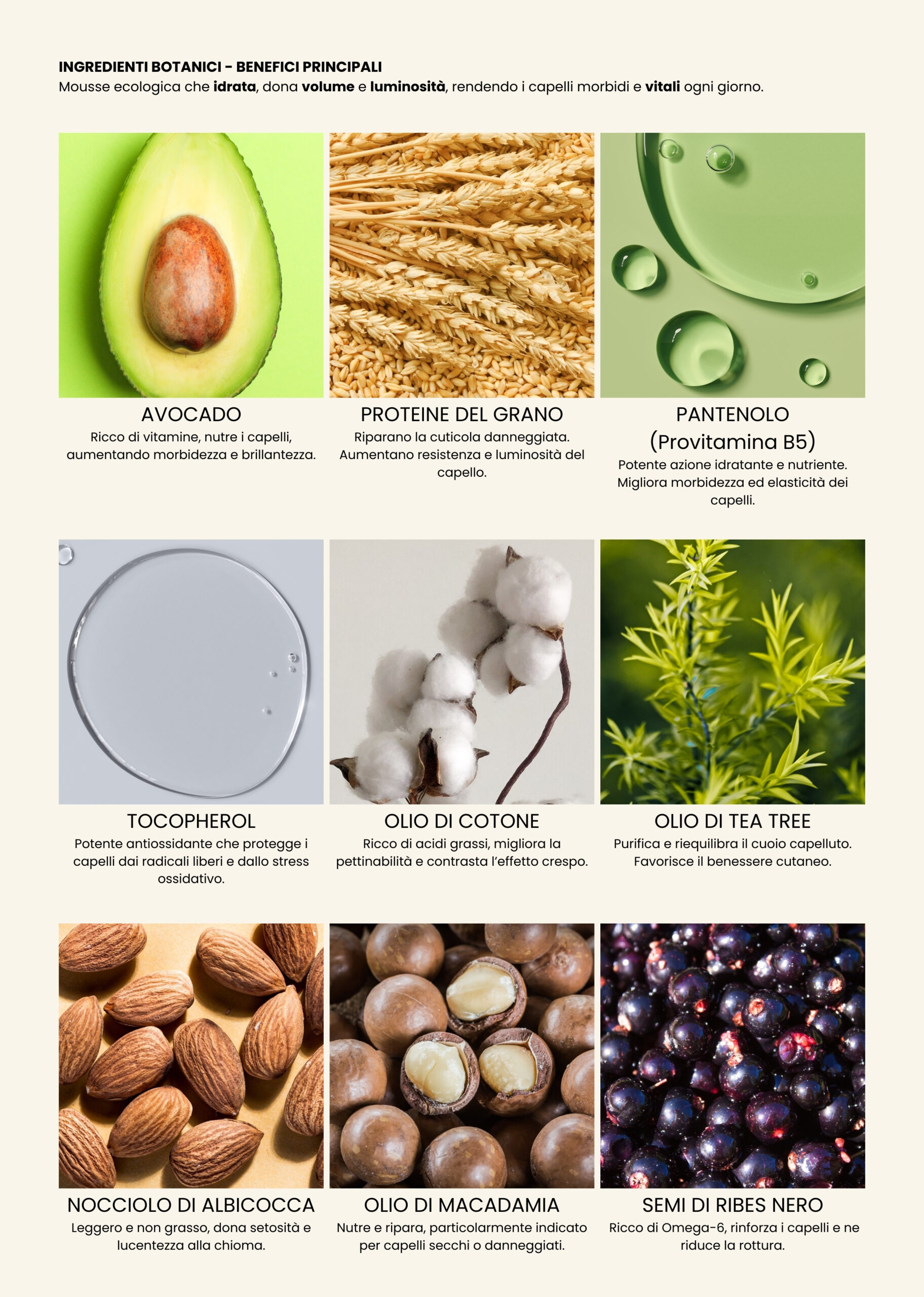 mousse V botanico scaled