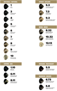 quick hair dye-color chart